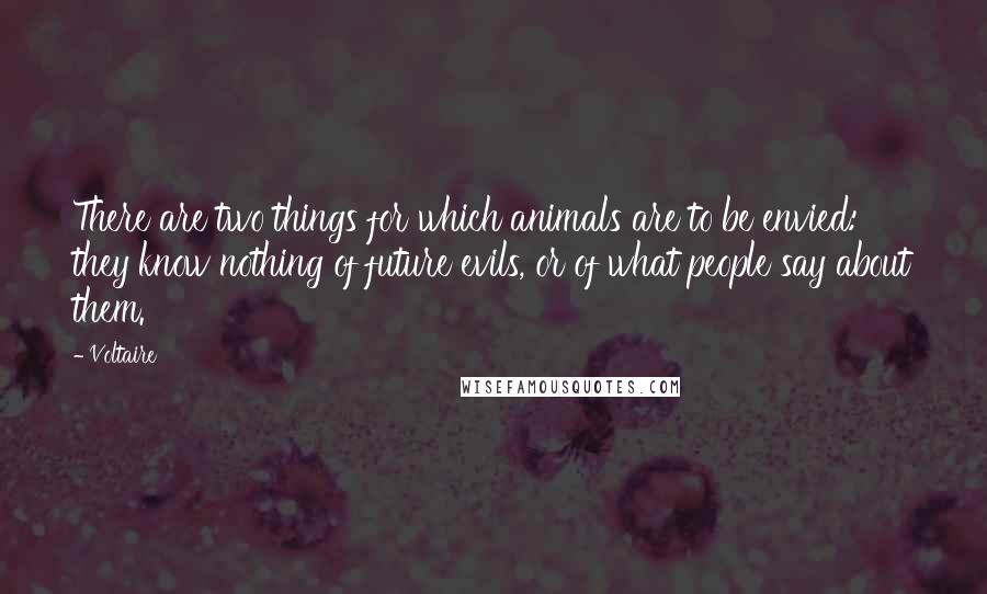 Voltaire Quotes: There are two things for which animals are to be envied: they know nothing of future evils, or of what people say about them.