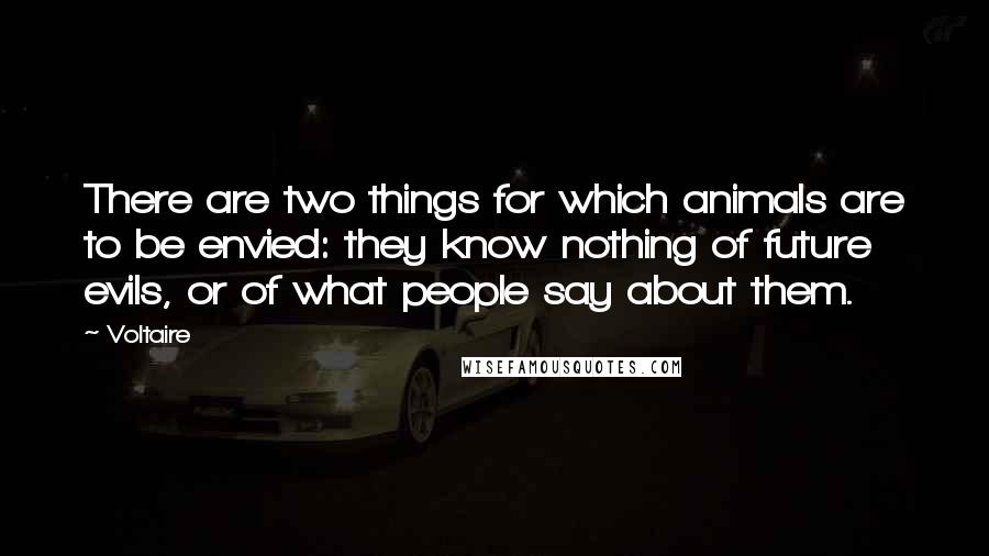 Voltaire Quotes: There are two things for which animals are to be envied: they know nothing of future evils, or of what people say about them.