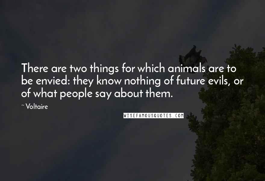 Voltaire Quotes: There are two things for which animals are to be envied: they know nothing of future evils, or of what people say about them.