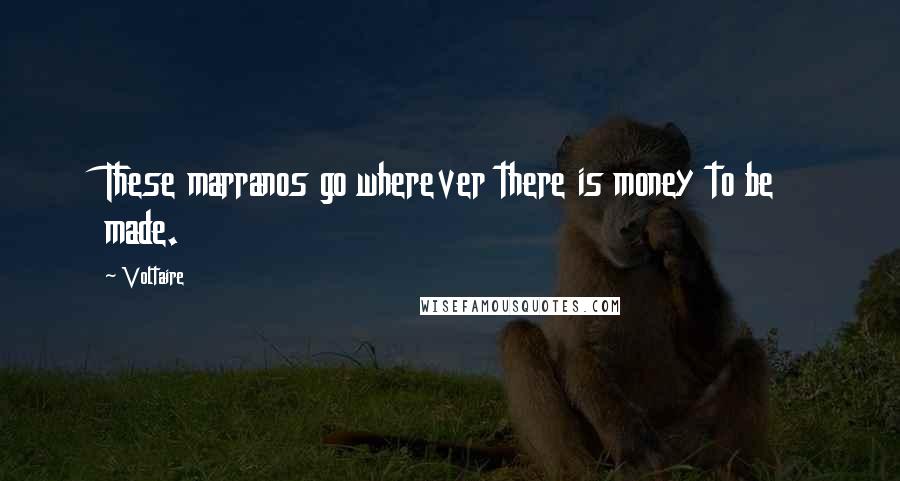 Voltaire Quotes: These marranos go wherever there is money to be made.