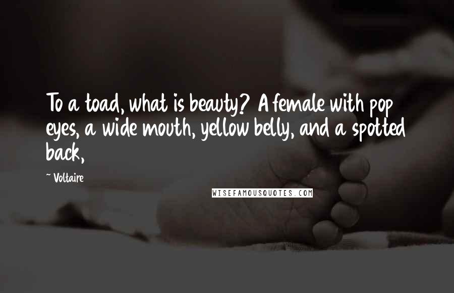 Voltaire Quotes: To a toad, what is beauty? A female with pop eyes, a wide mouth, yellow belly, and a spotted back,