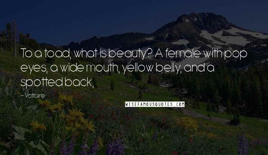 Voltaire Quotes: To a toad, what is beauty? A female with pop eyes, a wide mouth, yellow belly, and a spotted back,