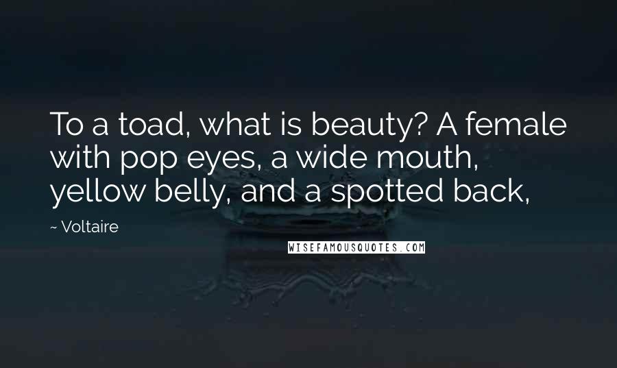 Voltaire Quotes: To a toad, what is beauty? A female with pop eyes, a wide mouth, yellow belly, and a spotted back,