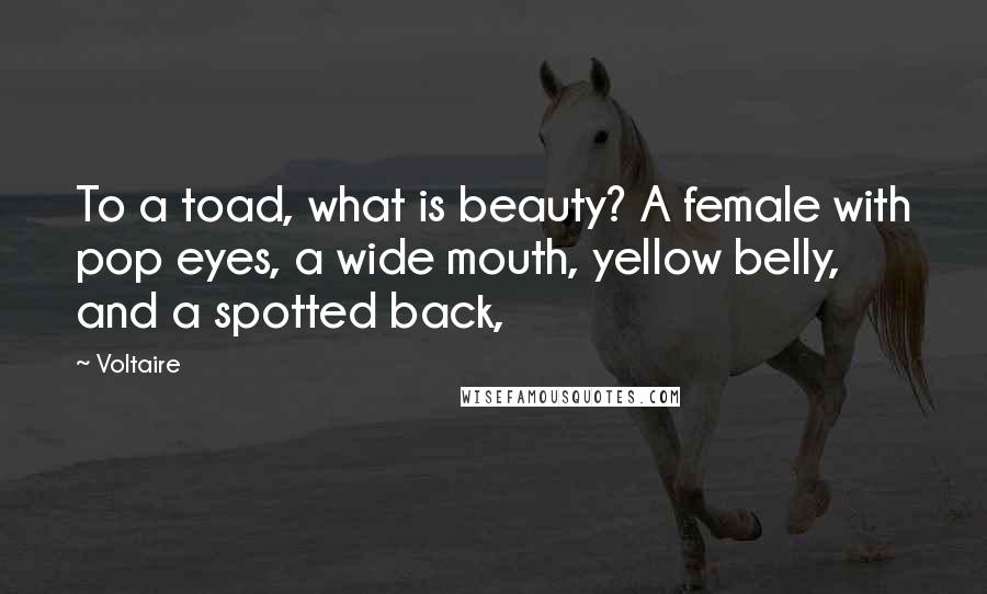 Voltaire Quotes: To a toad, what is beauty? A female with pop eyes, a wide mouth, yellow belly, and a spotted back,