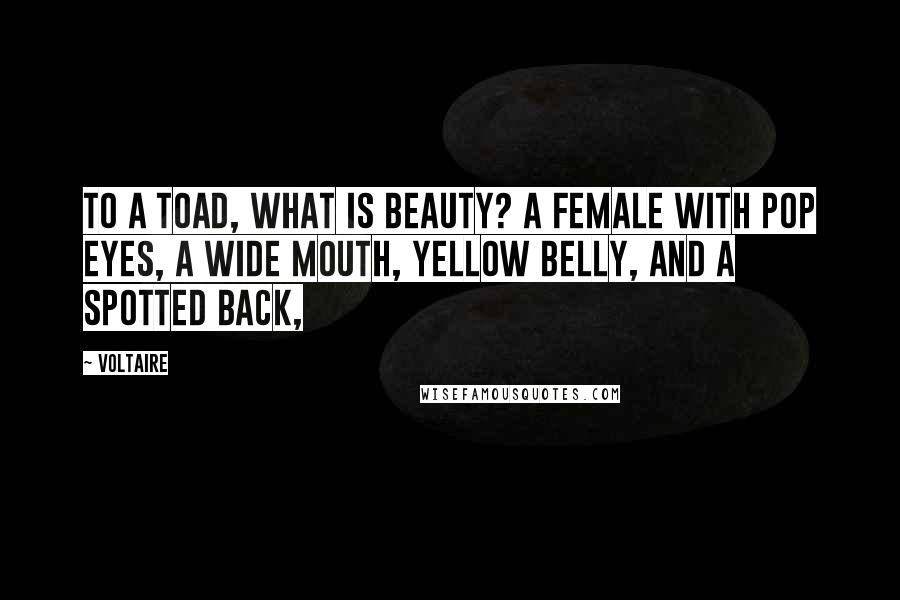 Voltaire Quotes: To a toad, what is beauty? A female with pop eyes, a wide mouth, yellow belly, and a spotted back,