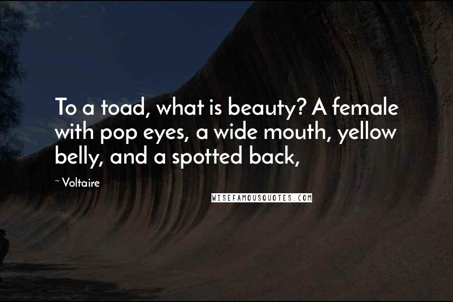 Voltaire Quotes: To a toad, what is beauty? A female with pop eyes, a wide mouth, yellow belly, and a spotted back,