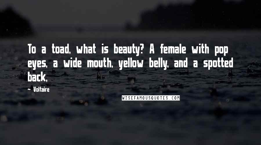 Voltaire Quotes: To a toad, what is beauty? A female with pop eyes, a wide mouth, yellow belly, and a spotted back,