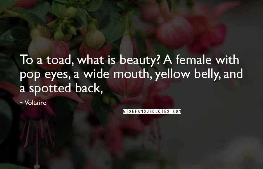 Voltaire Quotes: To a toad, what is beauty? A female with pop eyes, a wide mouth, yellow belly, and a spotted back,