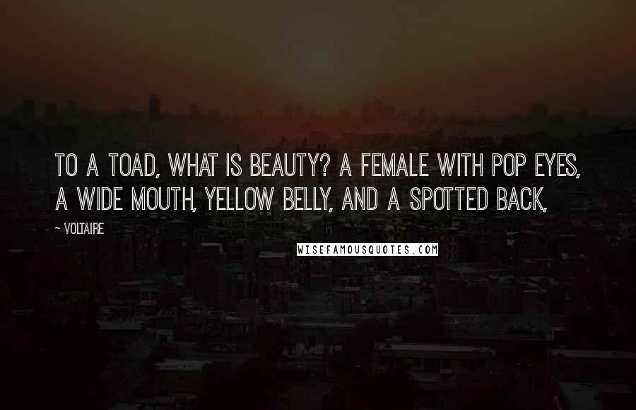 Voltaire Quotes: To a toad, what is beauty? A female with pop eyes, a wide mouth, yellow belly, and a spotted back,