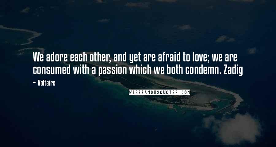 Voltaire Quotes: We adore each other, and yet are afraid to love; we are consumed with a passion which we both condemn. Zadig