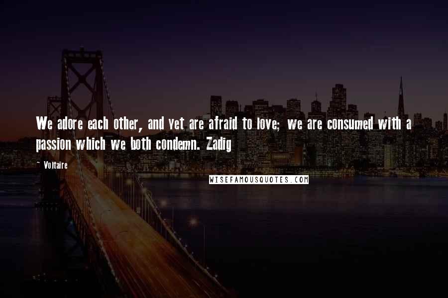 Voltaire Quotes: We adore each other, and yet are afraid to love; we are consumed with a passion which we both condemn. Zadig