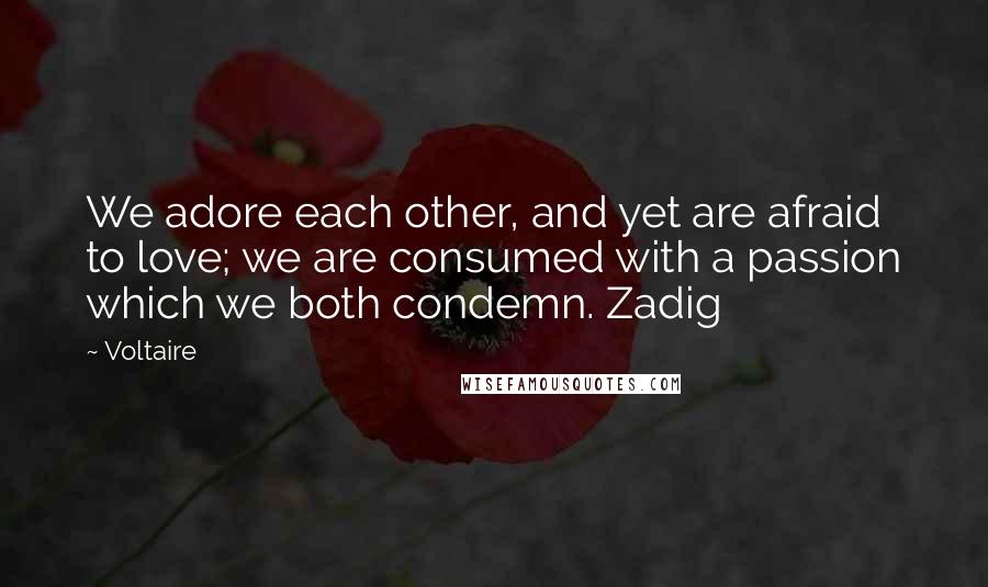 Voltaire Quotes: We adore each other, and yet are afraid to love; we are consumed with a passion which we both condemn. Zadig