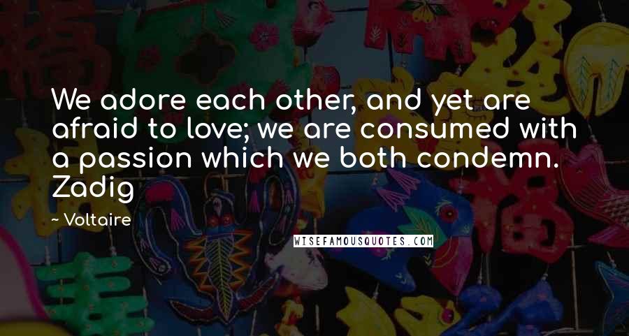 Voltaire Quotes: We adore each other, and yet are afraid to love; we are consumed with a passion which we both condemn. Zadig