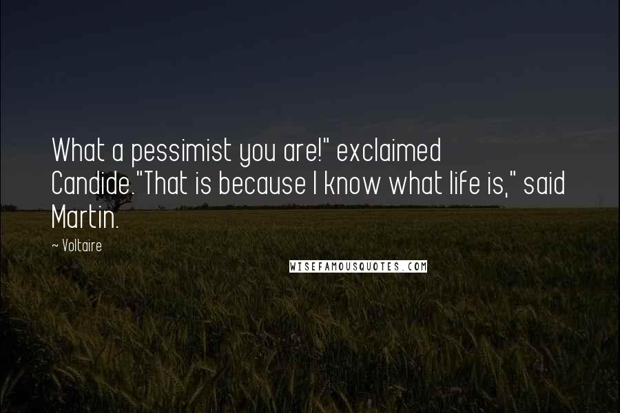 Voltaire Quotes: What a pessimist you are!" exclaimed Candide."That is because I know what life is," said Martin.