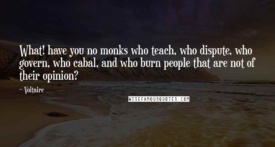 Voltaire Quotes: What! have you no monks who teach, who dispute, who govern, who cabal, and who burn people that are not of their opinion?