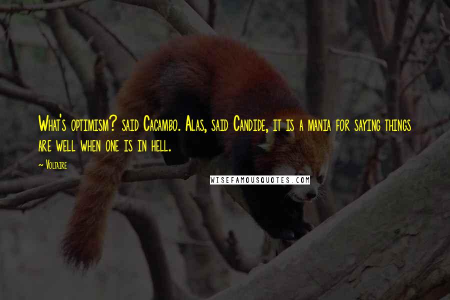 Voltaire Quotes: What's optimism? said Cacambo. Alas, said Candide, it is a mania for saying things are well when one is in hell.