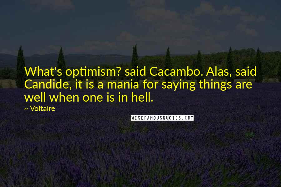Voltaire Quotes: What's optimism? said Cacambo. Alas, said Candide, it is a mania for saying things are well when one is in hell.