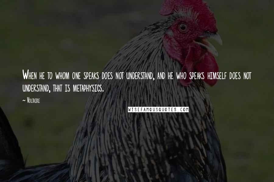 Voltaire Quotes: When he to whom one speaks does not understand, and he who speaks himself does not understand, that is metaphysics.