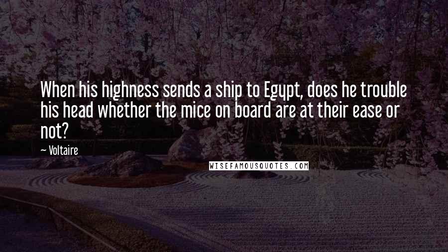 Voltaire Quotes: When his highness sends a ship to Egypt, does he trouble his head whether the mice on board are at their ease or not?