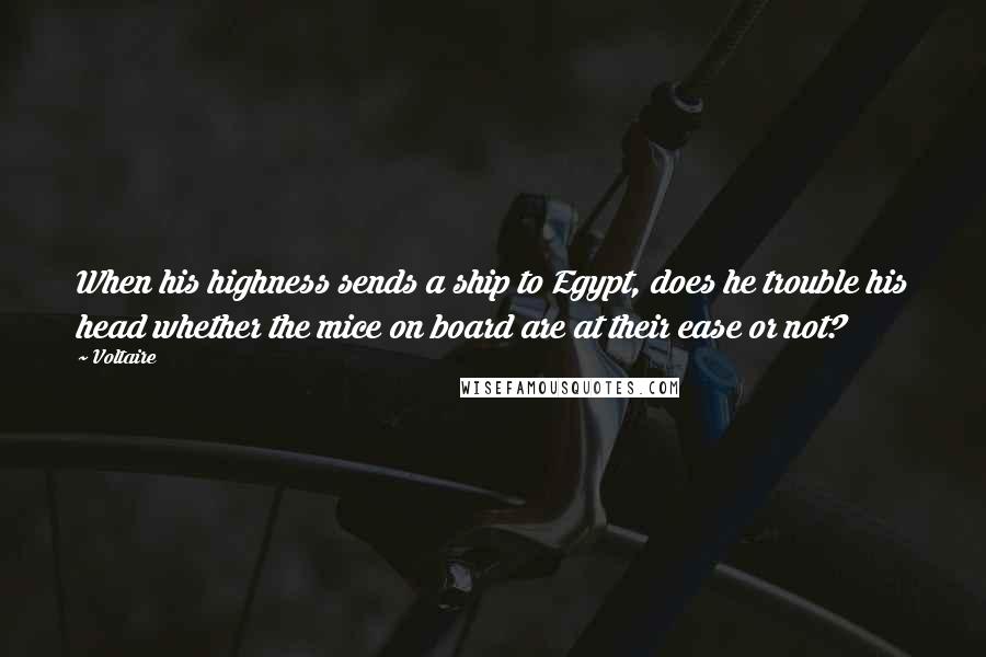 Voltaire Quotes: When his highness sends a ship to Egypt, does he trouble his head whether the mice on board are at their ease or not?