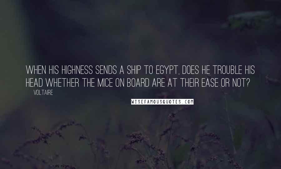 Voltaire Quotes: When his highness sends a ship to Egypt, does he trouble his head whether the mice on board are at their ease or not?