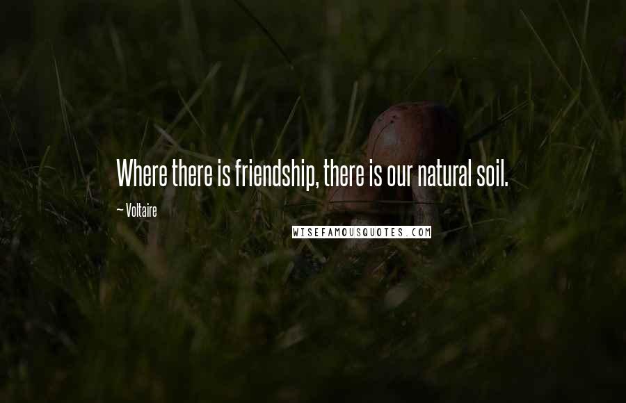 Voltaire Quotes: Where there is friendship, there is our natural soil.