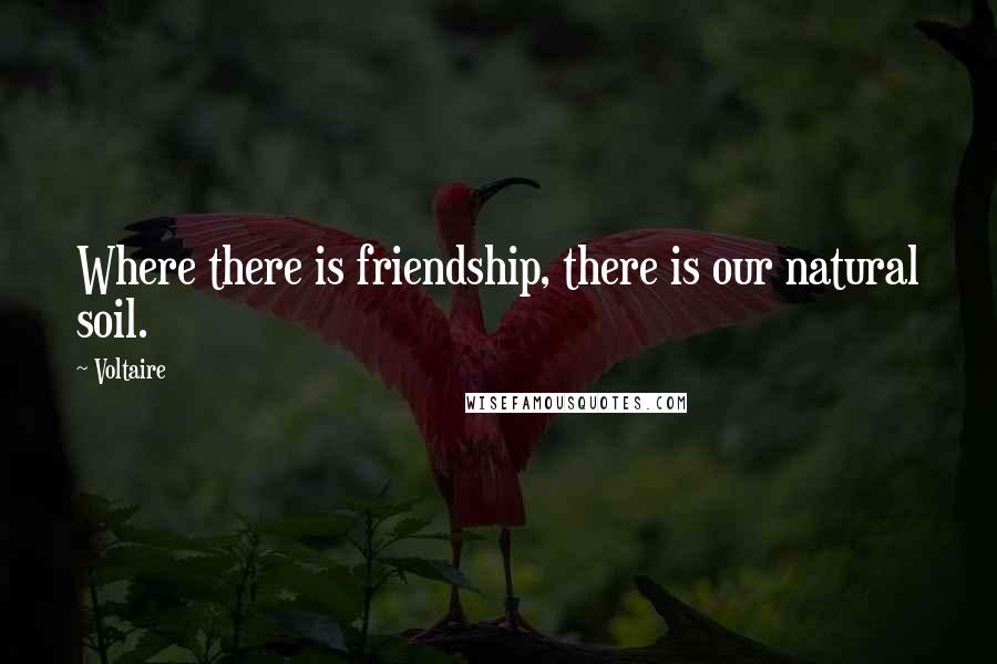 Voltaire Quotes: Where there is friendship, there is our natural soil.