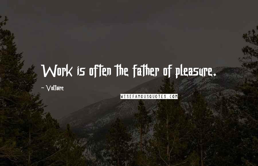 Voltaire Quotes: Work is often the father of pleasure.