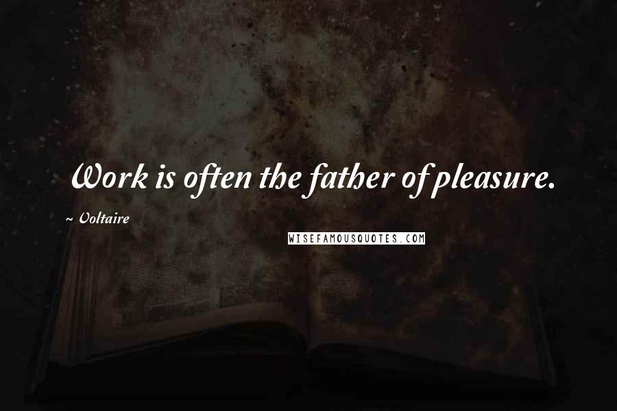 Voltaire Quotes: Work is often the father of pleasure.
