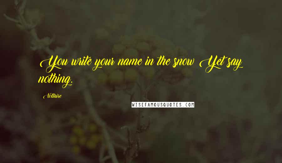 Voltaire Quotes: You write your name in the snow Yet say nothing.