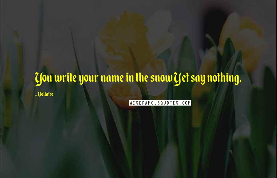 Voltaire Quotes: You write your name in the snow Yet say nothing.