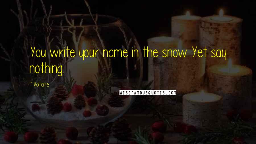 Voltaire Quotes: You write your name in the snow Yet say nothing.