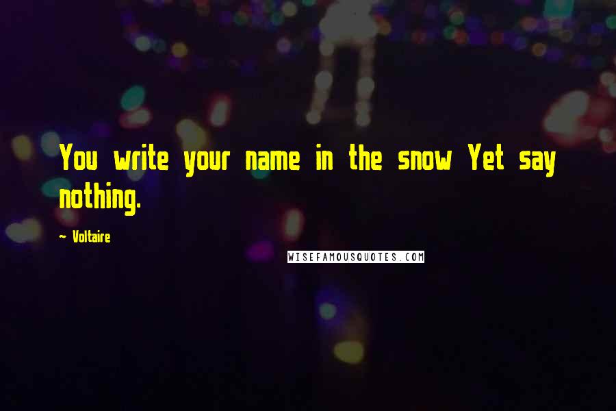 Voltaire Quotes: You write your name in the snow Yet say nothing.