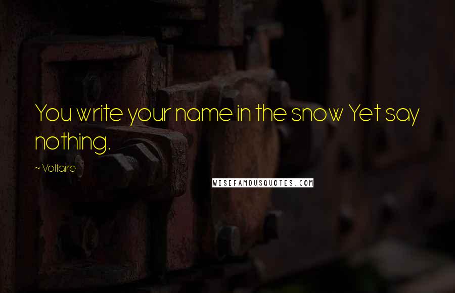 Voltaire Quotes: You write your name in the snow Yet say nothing.