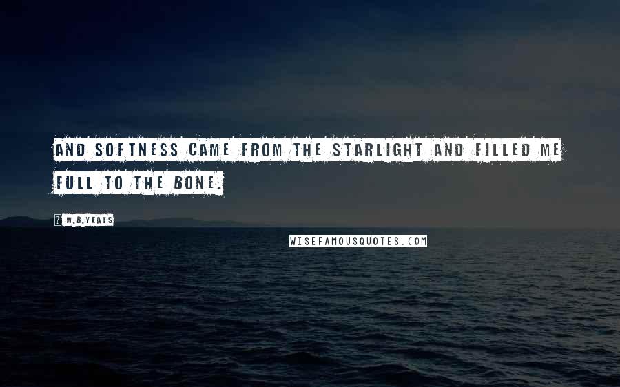 W.B.Yeats Quotes: And softness came from the starlight and filled me full to the bone.