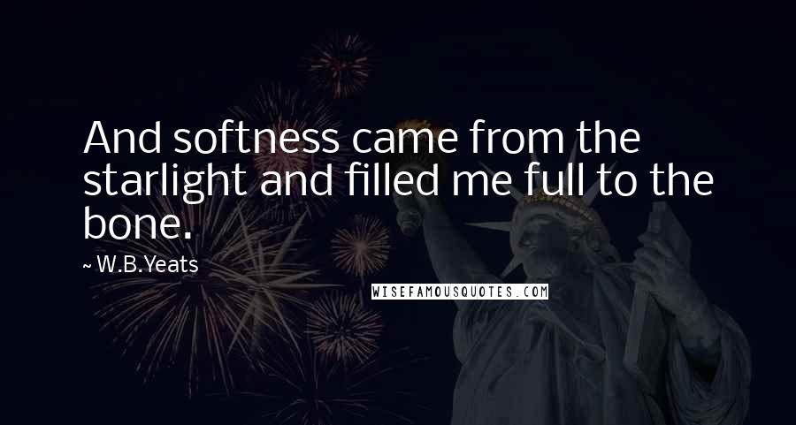 W.B.Yeats Quotes: And softness came from the starlight and filled me full to the bone.