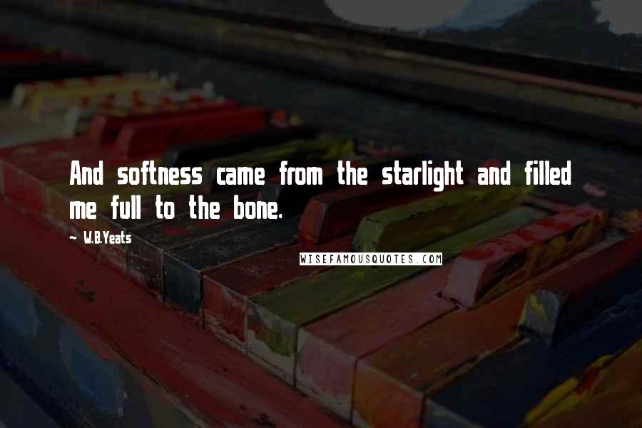 W.B.Yeats Quotes: And softness came from the starlight and filled me full to the bone.
