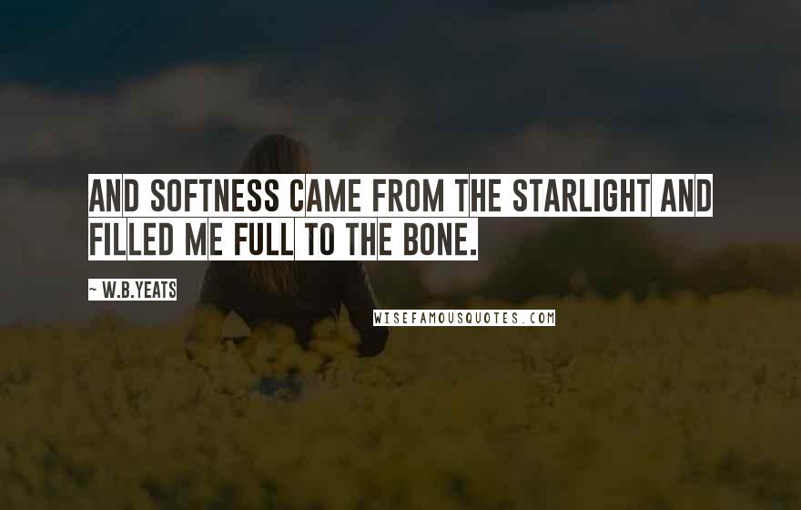 W.B.Yeats Quotes: And softness came from the starlight and filled me full to the bone.