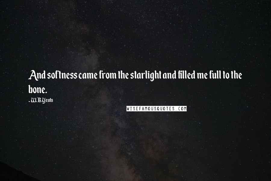 W.B.Yeats Quotes: And softness came from the starlight and filled me full to the bone.