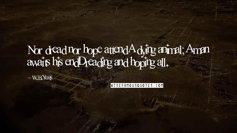 W.B.Yeats Quotes: Nor dread nor hope attendA dying animal;A man awaits his endDreading and hoping all.