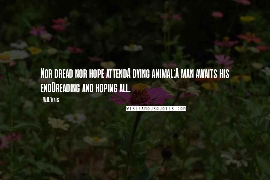 W.B.Yeats Quotes: Nor dread nor hope attendA dying animal;A man awaits his endDreading and hoping all.