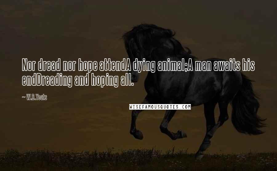 W.B.Yeats Quotes: Nor dread nor hope attendA dying animal;A man awaits his endDreading and hoping all.