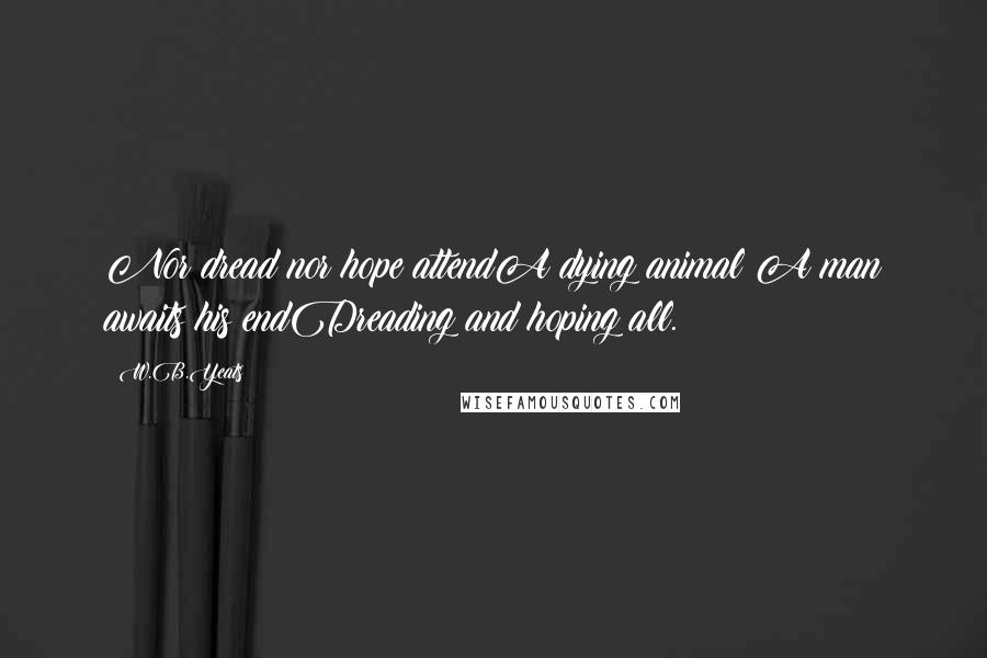 W.B.Yeats Quotes: Nor dread nor hope attendA dying animal;A man awaits his endDreading and hoping all.