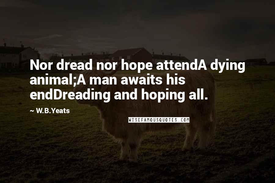 W.B.Yeats Quotes: Nor dread nor hope attendA dying animal;A man awaits his endDreading and hoping all.