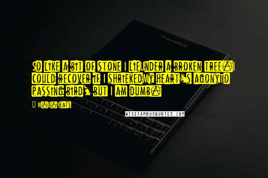 W.B.Yeats Quotes: So like a bit of stone I lieUnder a broken tree.I could recover if I shriekedMy heart's agonyTo passing bird, but I am dumb.