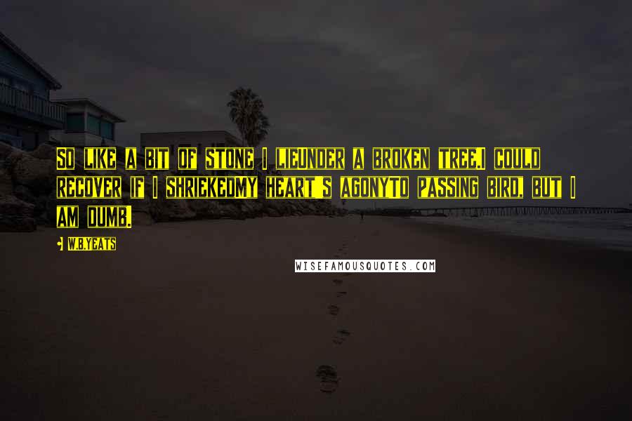 W.B.Yeats Quotes: So like a bit of stone I lieUnder a broken tree.I could recover if I shriekedMy heart's agonyTo passing bird, but I am dumb.