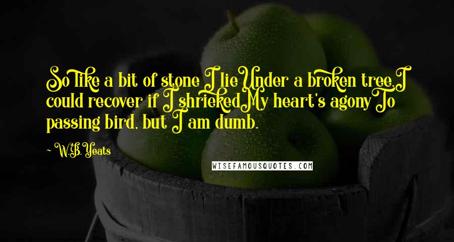 W.B.Yeats Quotes: So like a bit of stone I lieUnder a broken tree.I could recover if I shriekedMy heart's agonyTo passing bird, but I am dumb.