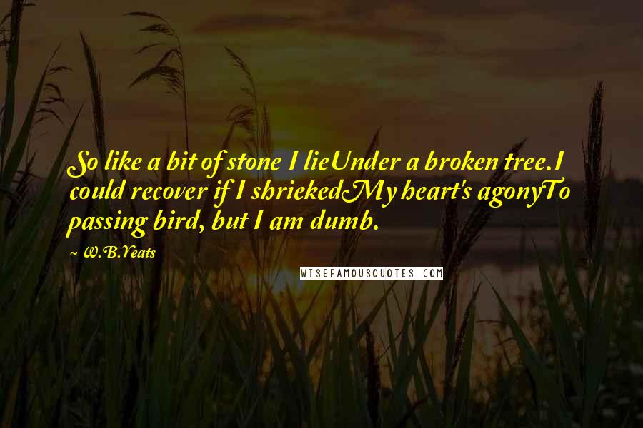 W.B.Yeats Quotes: So like a bit of stone I lieUnder a broken tree.I could recover if I shriekedMy heart's agonyTo passing bird, but I am dumb.