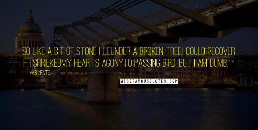 W.B.Yeats Quotes: So like a bit of stone I lieUnder a broken tree.I could recover if I shriekedMy heart's agonyTo passing bird, but I am dumb.