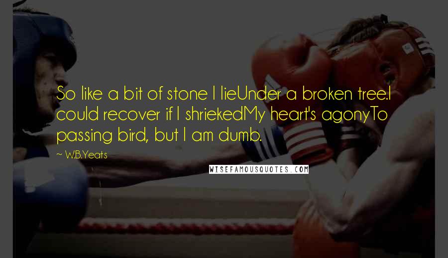 W.B.Yeats Quotes: So like a bit of stone I lieUnder a broken tree.I could recover if I shriekedMy heart's agonyTo passing bird, but I am dumb.